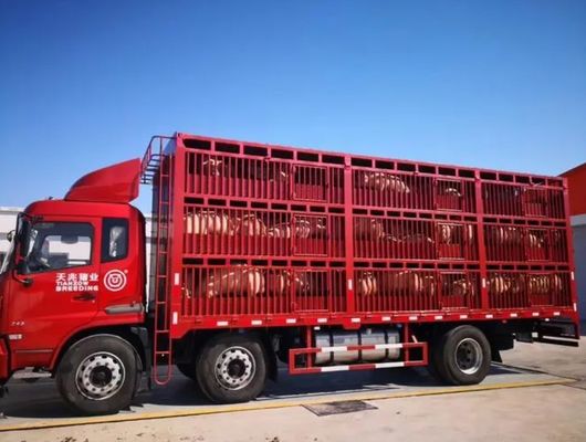 Remolque de camión para el transporte de ganado de 3 ejes 20-40 toneladas de altura Semi-remolque de cerca