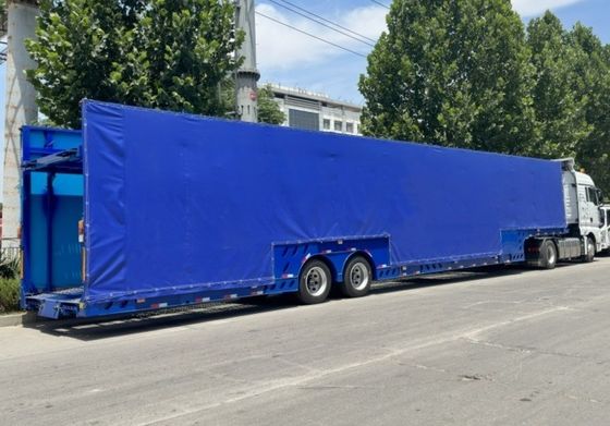 WS 2 Ejes de carga con remolque de 6 carros con tamaño y suspensión 16690x2700x3000mm